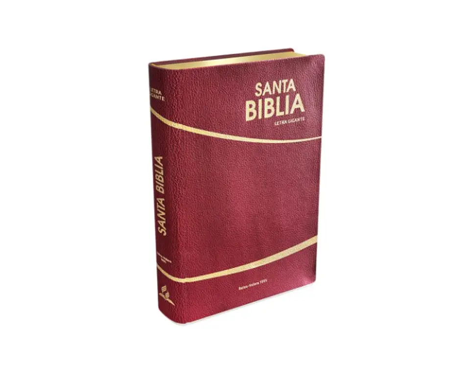 Biblia letra gigante bordo - Safeliz 1