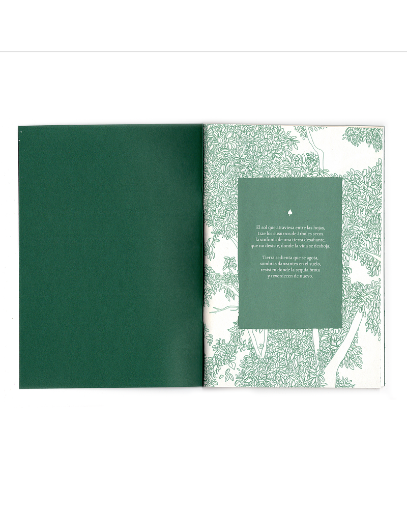 Resistir, como el bosque esclerófilo