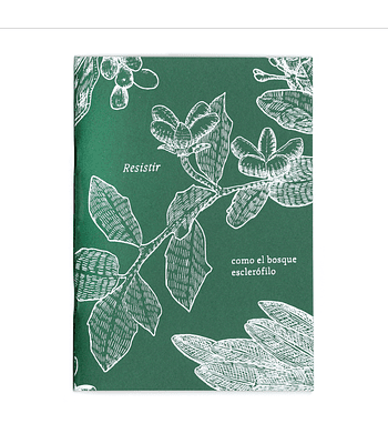Resistir, como el bosque esclerófilo