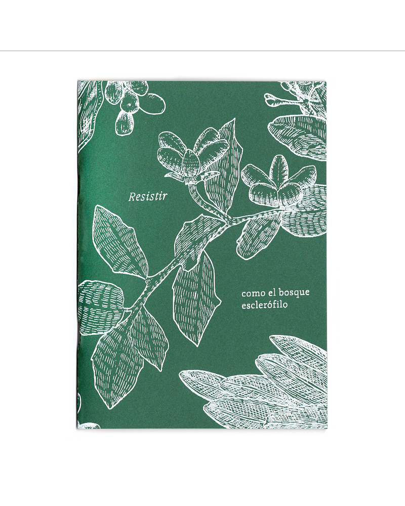 Resistir, como el bosque esclerófilo
