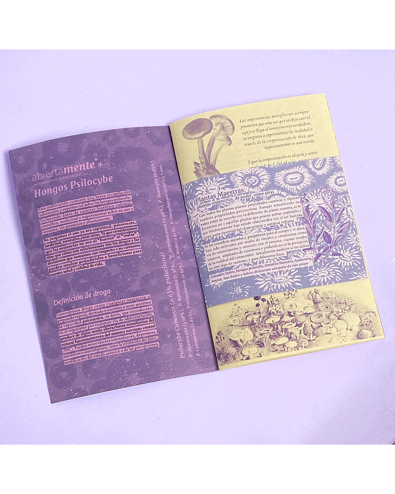 Abiertamente - Hongos Psilocybe