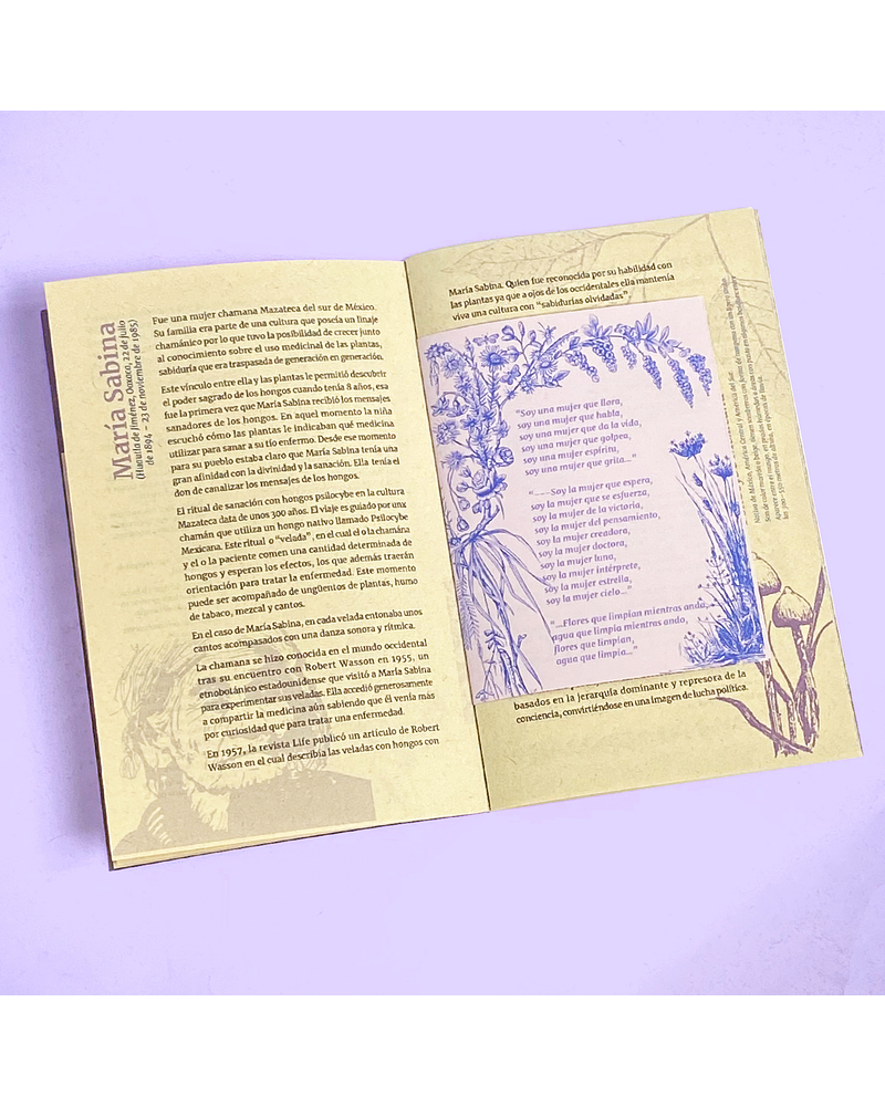 Abiertamente - Hongos Psilocybe