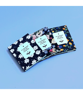 Lo aprendí de las Plantas