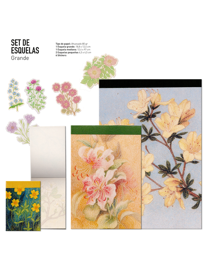 Set de Esquelas - Diseños florales - Grande (4 diseños) + 6 stickers