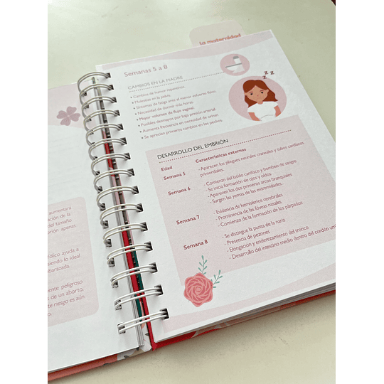 Agenda de embarazo - 9 meses