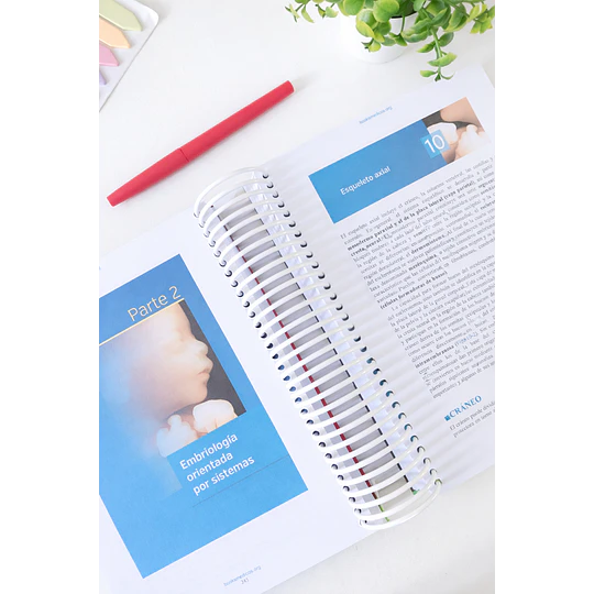  servicio de Impresión   Langman Embriología Médica T.w Sadler 14 edición