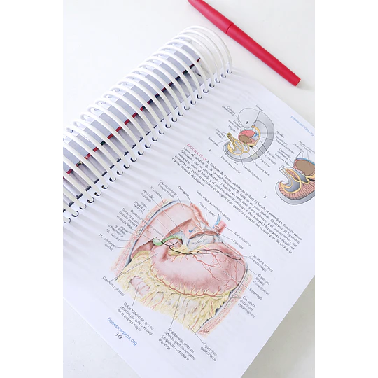  servicio de Impresión   Langman Embriología Médica T.w Sadler 14 edición