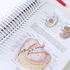  servicio de Impresión   Langman Embriología Médica T.w Sadler 14 edición