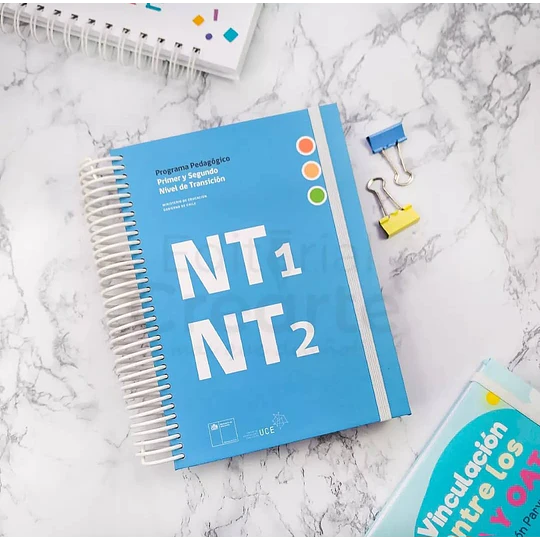 Programa Pedagógico para los Niveles de Transición NT1 y NT2