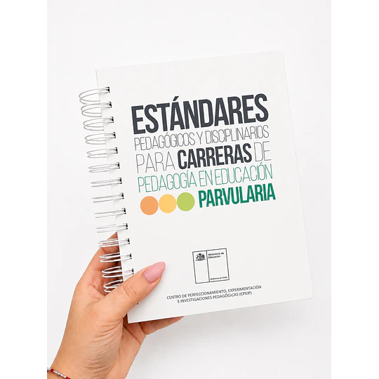 Estándares pedagógicos y disciplinarios para carreras de pedagogía en educación parvularia 