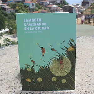 Lamngen caminando en la ciudad
