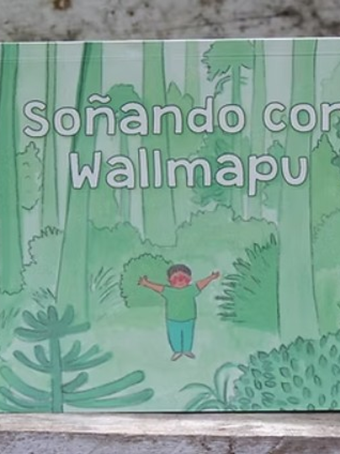 Soñando con Wallmapu 1