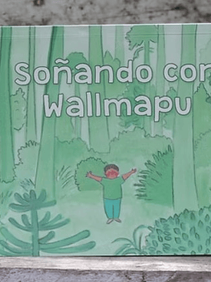 Soñando con Wallmapu
