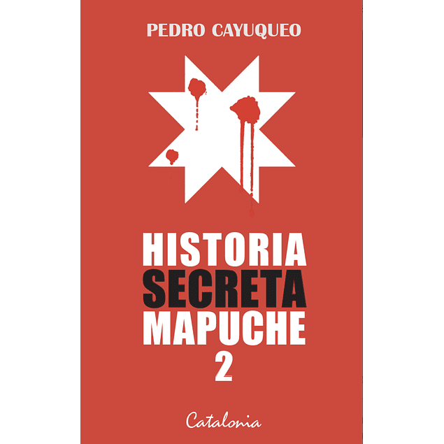 Historia secreta mapuche 2
