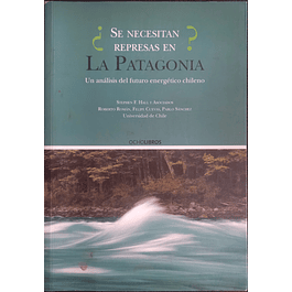 ¿Se necesitan represas en Patagonia?