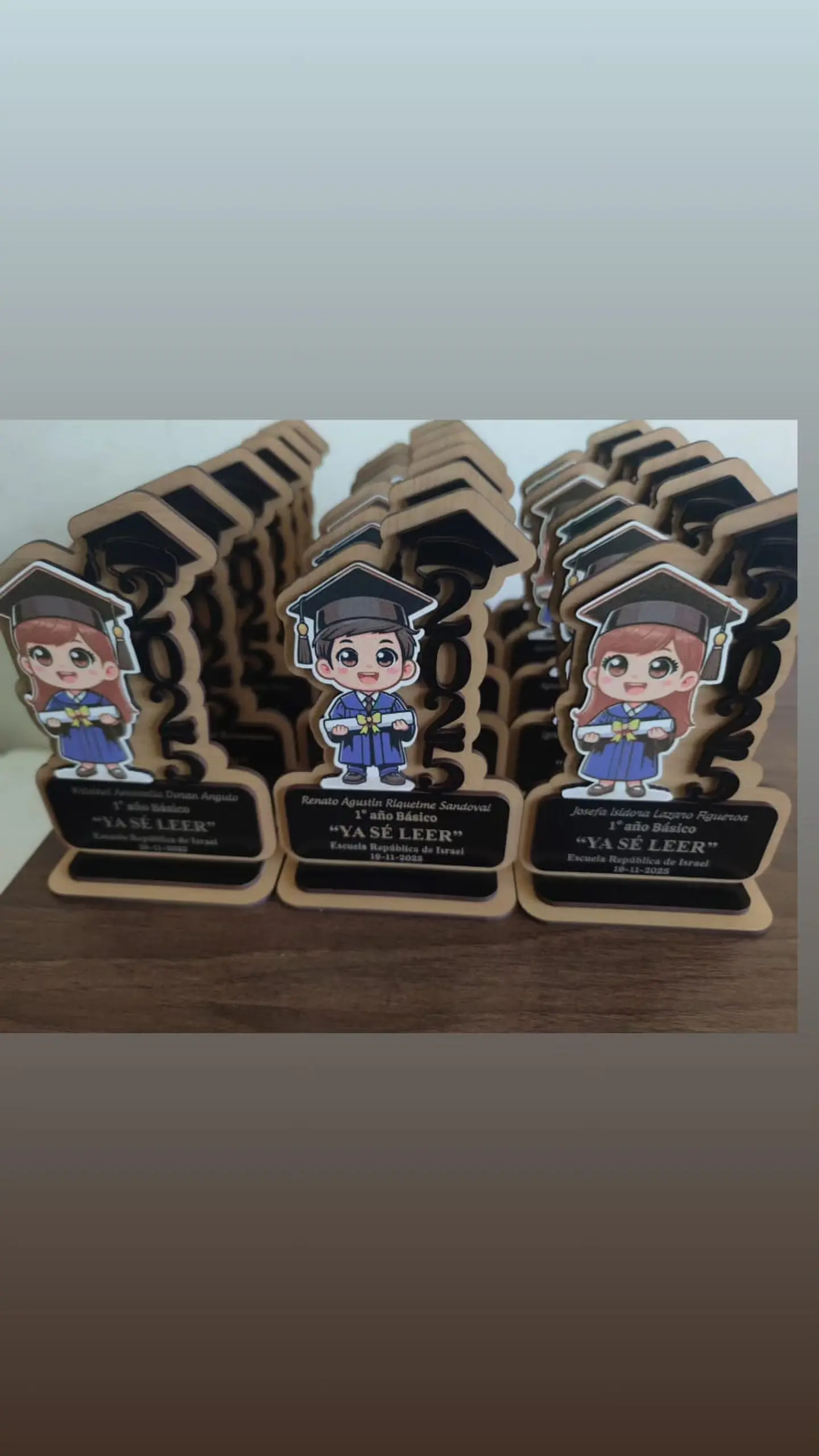 Mini galvano licenciatura o egreso 2 2