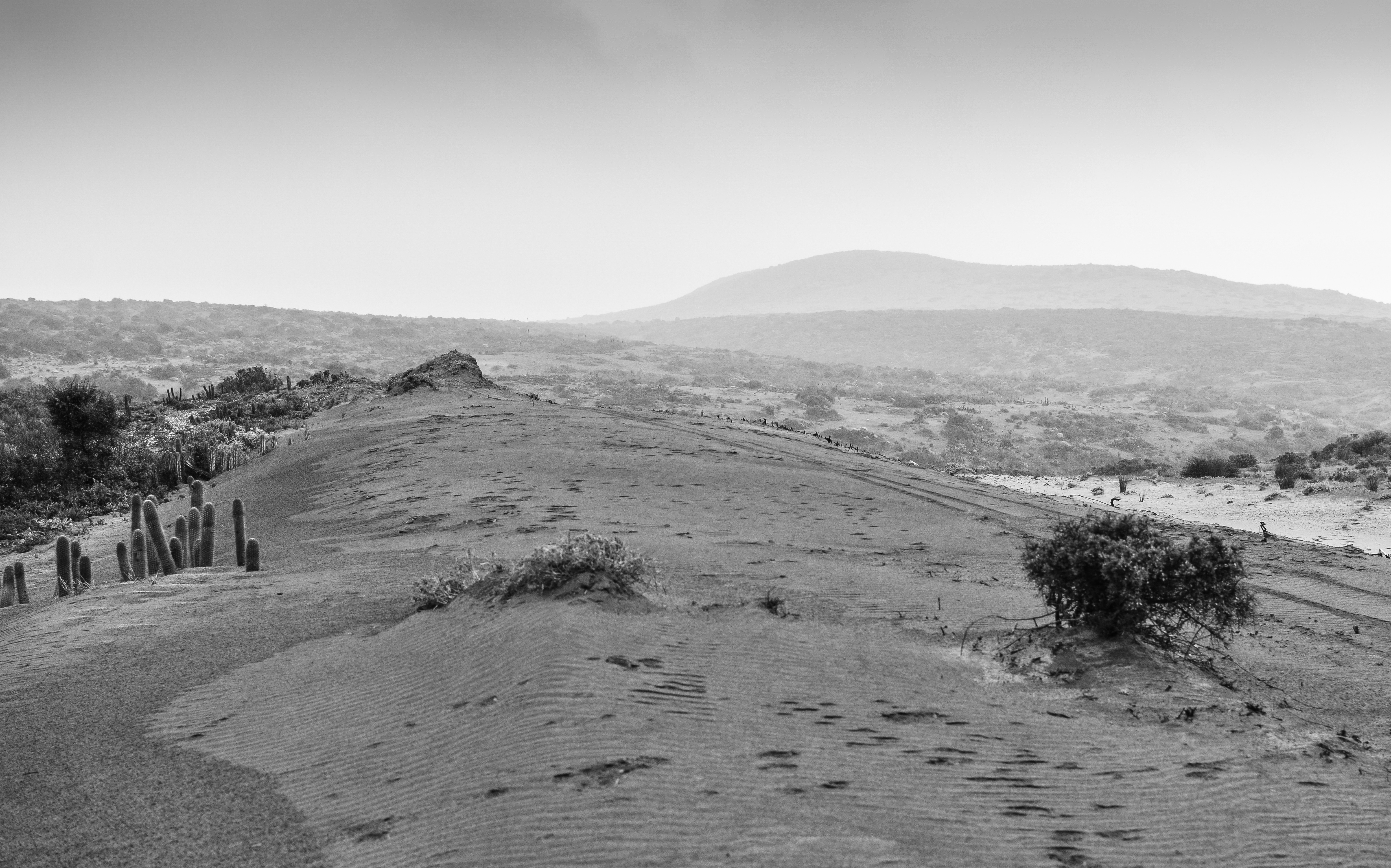 Paisaje nortino 1