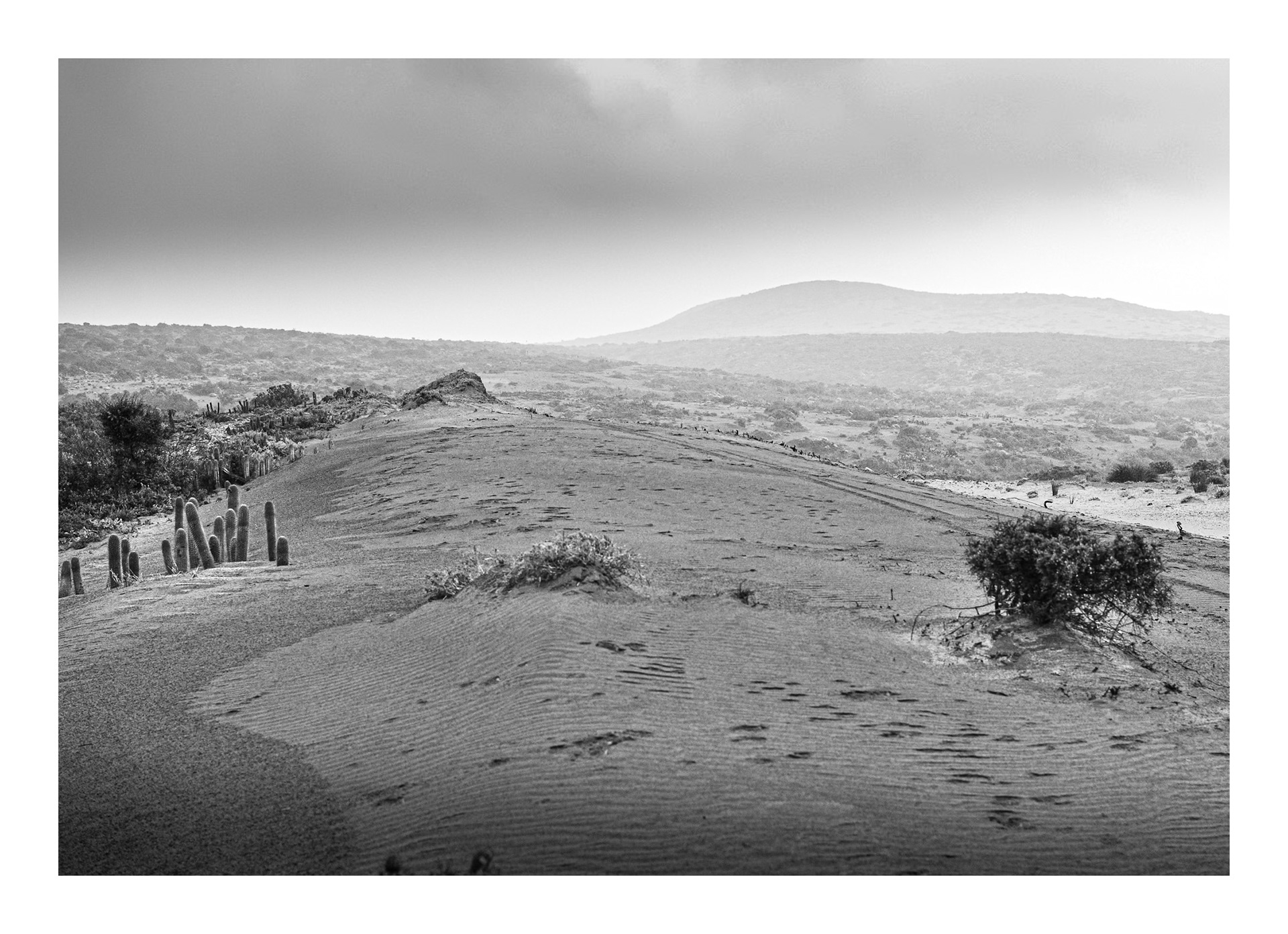 Natura #3