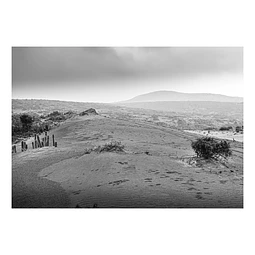Natura #3