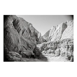 Natura #6