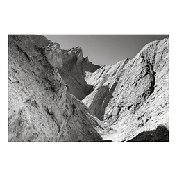 Natura #7