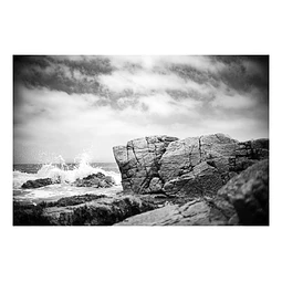 Natura #9