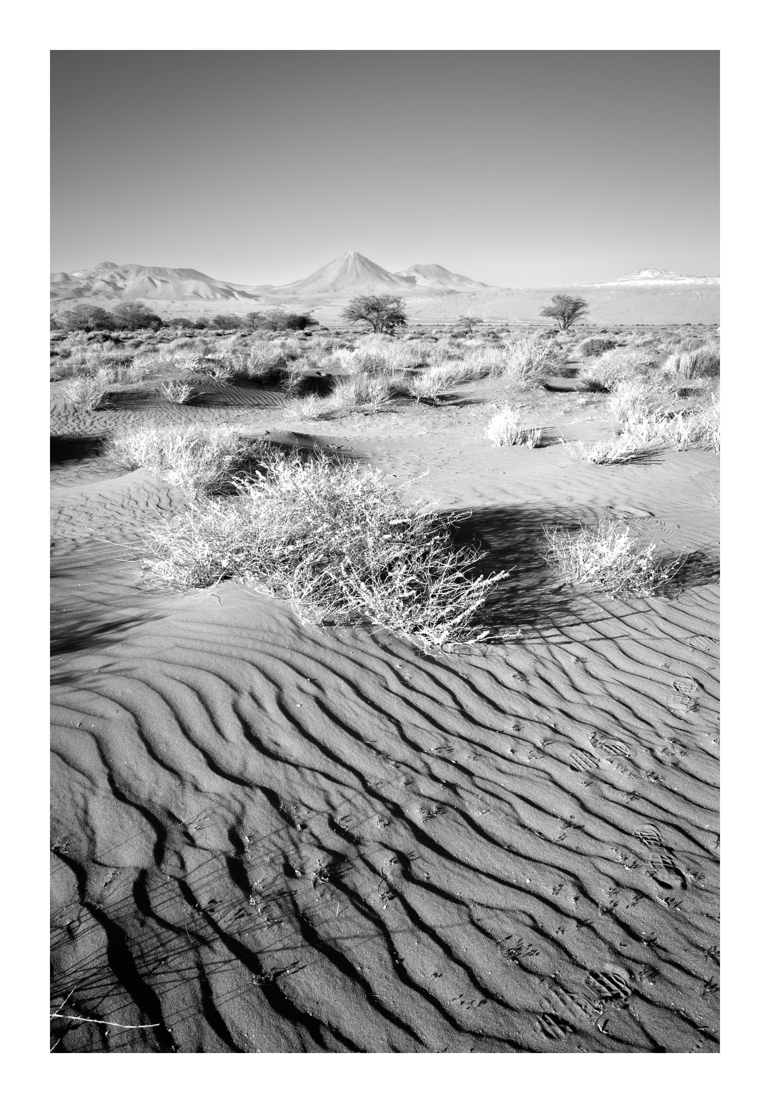 Natura #10