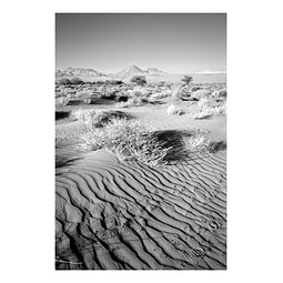 Natura #10
