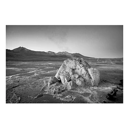 Natura #12