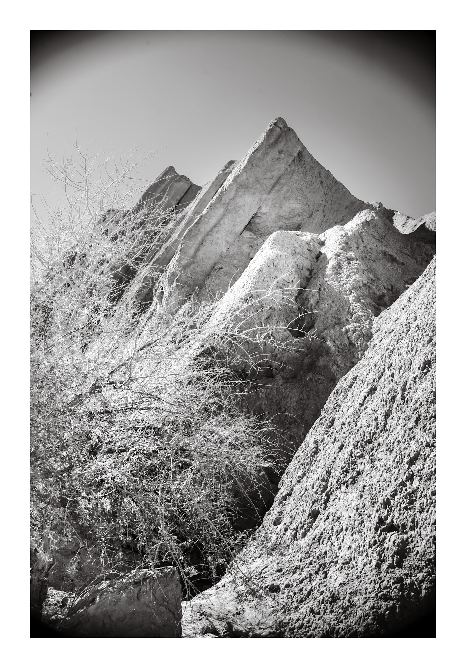 Natura #11