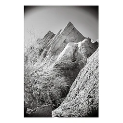 Natura #11