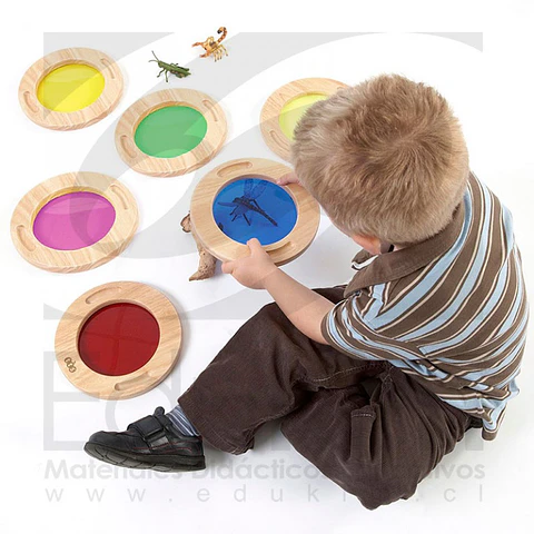 Bastidores colores traslúcidos 6 Uds.