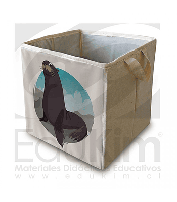 Caja plegable diseño foca 30 cm
