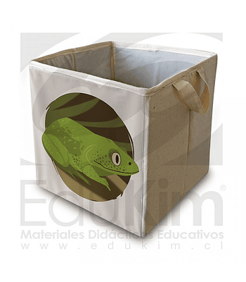 Caja plegable diseño sapo 30 cm