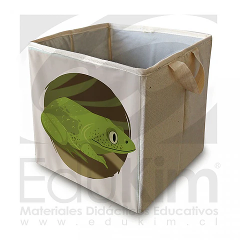Caja plegable diseño sapo 30 cm