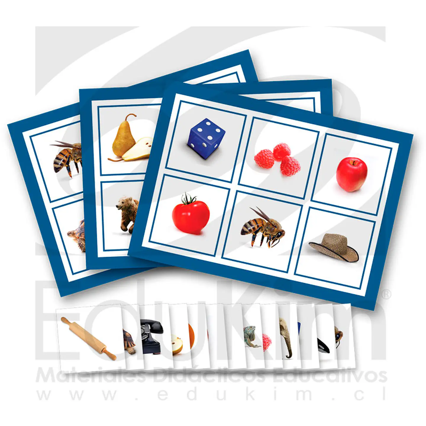 Lotería lenguaje 1