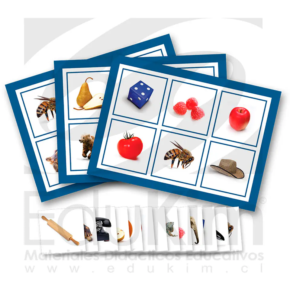 Lotería lenguaje 1
