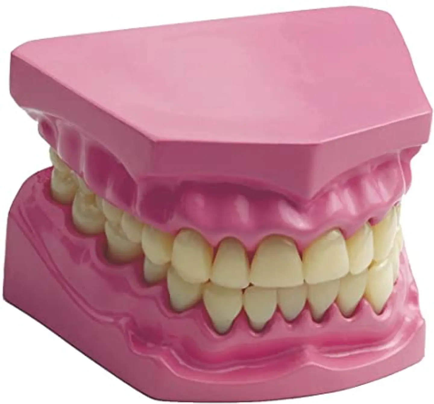 MODELO DENTAL 3