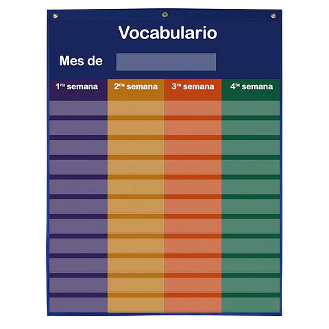 Organizador de Vocabulario
