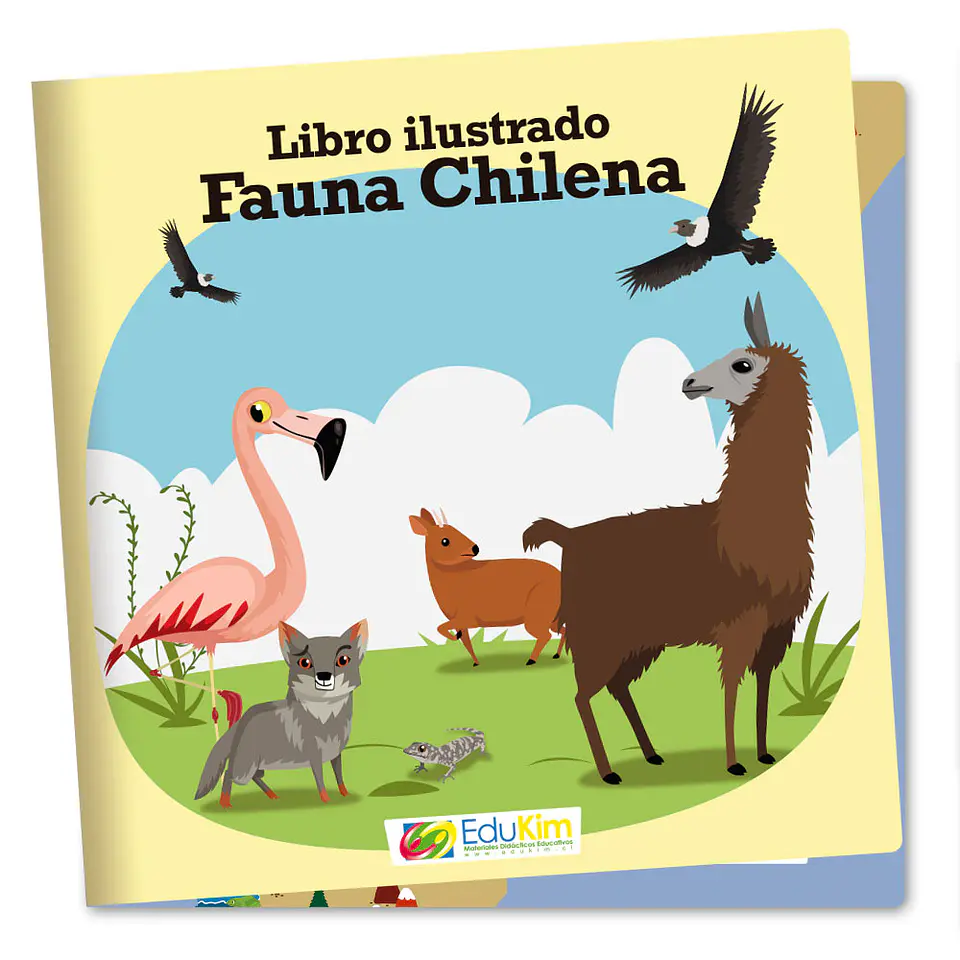 Libro de tela Fauna de Chile 1
