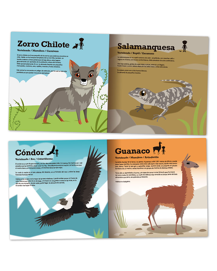Libro de Tela Fauna de Chile