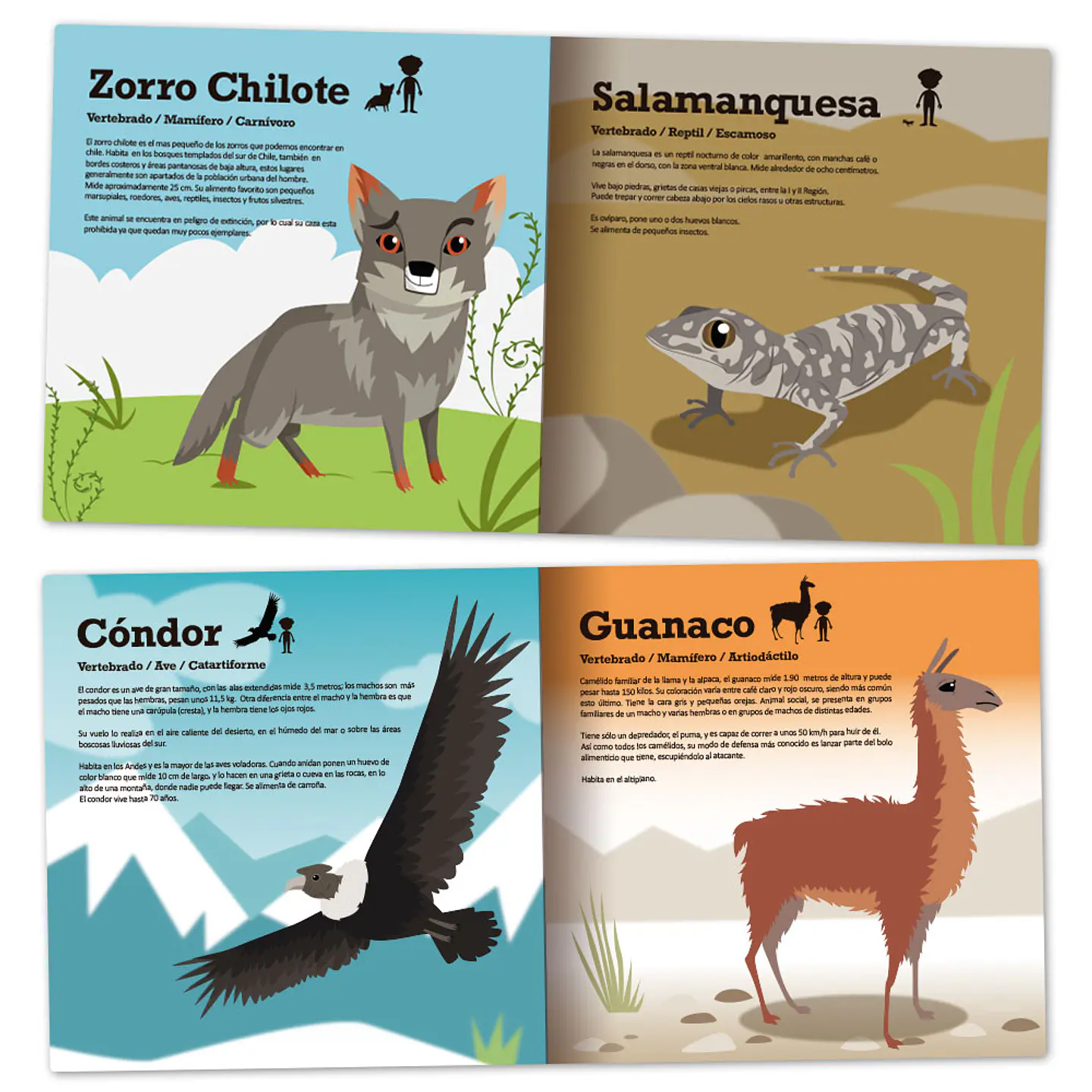 Libro de tela Fauna de Chile 2
