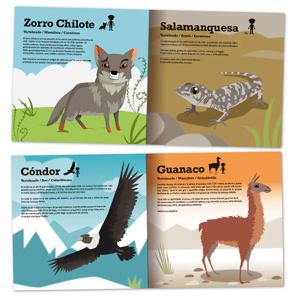Libro de tela Fauna de Chile 2