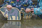 Figuras de Madera Animales y Personajes de África - Miniatura 9