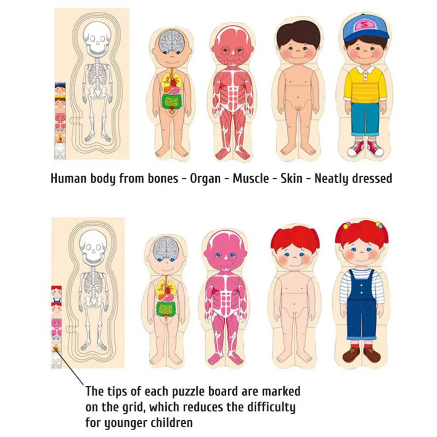 Puzzle Cuerpo Humano 3
