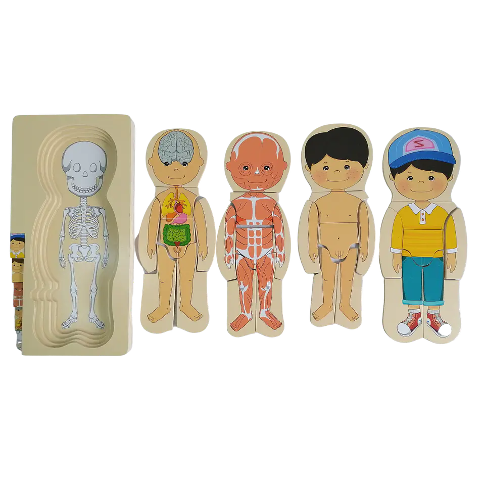 Puzzle Cuerpo Humano 4