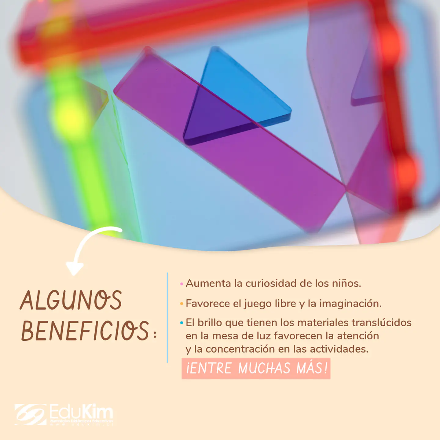 Mesa de Luz Montessori A3 Edukim 4