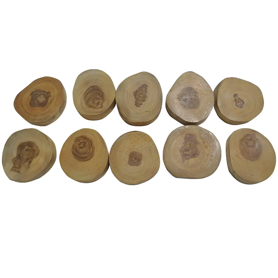 Discos de Madera Natural 10 Unidades 1