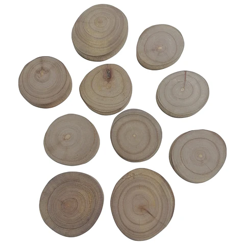Discos de Madera Natural 10 Unidades 