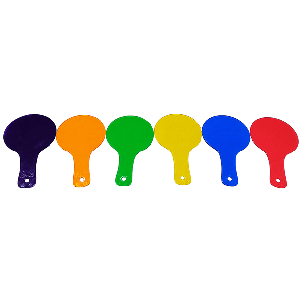 Set de 6 Paletas de Colores Acrílicas